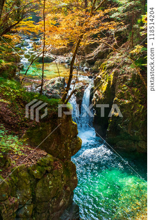 Ganryukyo Gorge (Autumn) Ganryukyo Gorge (Autumn) 118514204