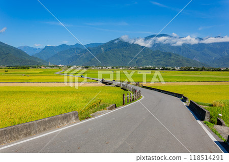 Sunny view of the beautiful rice paddy field at Chishang Sunny view of the beautiful rice paddy field at Chishang 118514291