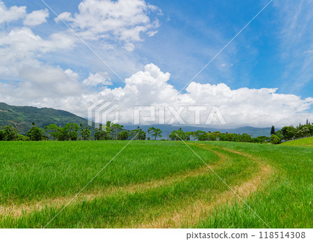 Sunny view of the beautiful grass and clouds landscape Sunny view of the beautiful grass and clouds landscape 118514308