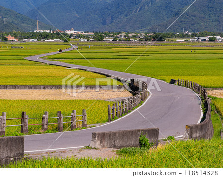 Sunny view of the beautiful rice paddy field at Chishang Sunny view of the beautiful rice paddy field at Chishang 118514328