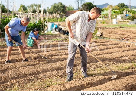 Men is leveling the beds ground with rake Men is leveling the beds ground with rake 118514478