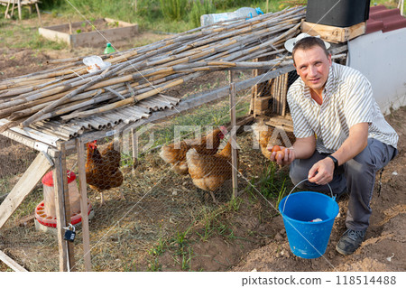 Smiling man collecting eggs of chickens in coop on backyard 118514488