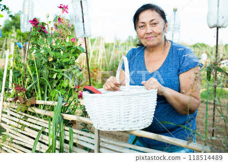 Happy elderly woman standing near wooden fence of vegetable garden 118514489