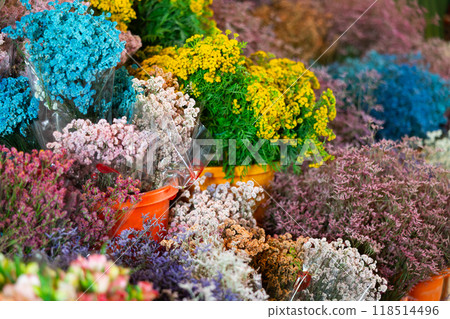 Buckets of colorful dry flowers in plants market Buckets of colorful dry flowers in plants market 118514496