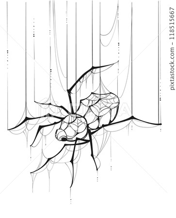 Spider web outline hang weave net concept drawing holiday halloween Spider web outline hang weave net concept drawing holiday halloween 118515667