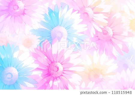 色彩繽紛的非洲菊花 118515948