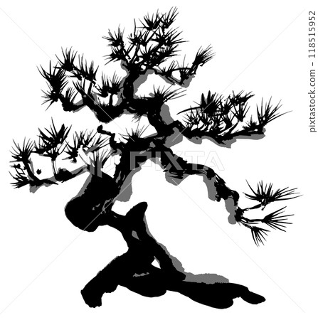 Pine bonsai handwritten brush illustration 118515952