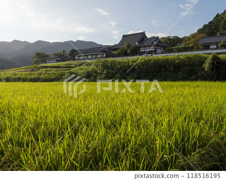 立花寺和飛鳥村的田園風光 立花寺和飛鳥村的田園風光 118516195