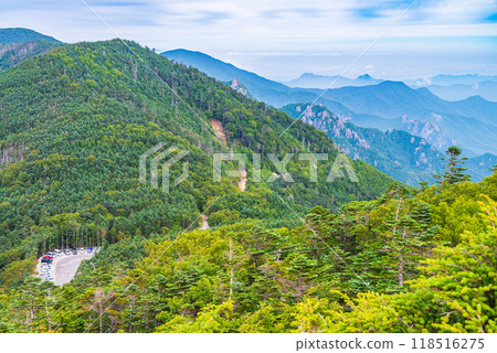 [山梨縣]國志岳夢想花園夏天 118516275
