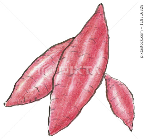 材料 紅薯 118516828