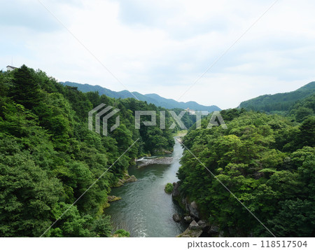 Kinugawa River surrounded by greenery | Kinutateiwa Suspension Bridge 118517504