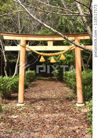 Takasagoyama Park overlooking Centrair 118517573