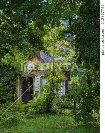 Abandoned house hidden among lush green forest trees 118517732