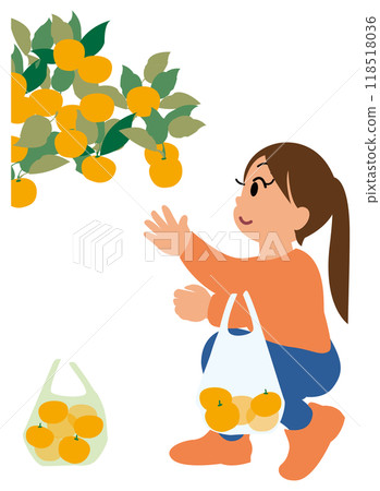 Illustration of children experiencing mandarin orange picking 02 Illustration of children experiencing mandarin orange picking 02 118518036