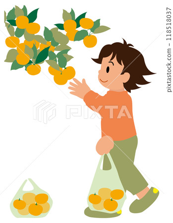 體驗橙子採摘的孩子插畫01 118518037