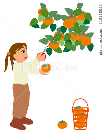 Illustration of children experiencing persimmon picking 03 118518038