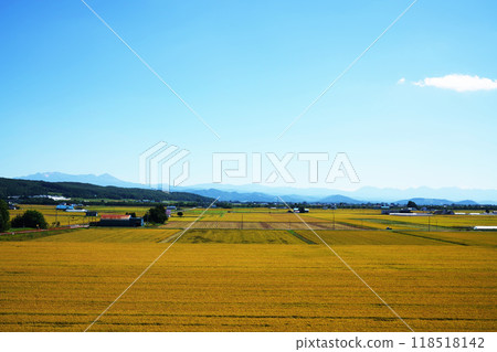 北海道旭川高鬚町的秋收田園風光 北海道旭川高鬚町的秋收田園風光 118518142