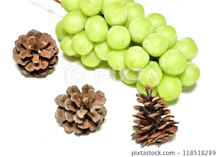 GrapeShine Muscat 118518289