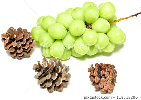 GrapeShine Muscat GrapeShine Muscat 118518290