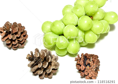 GrapeShine Muscat GrapeShine Muscat 118518291