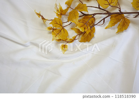 Image of autumn: dead leaves 118518390