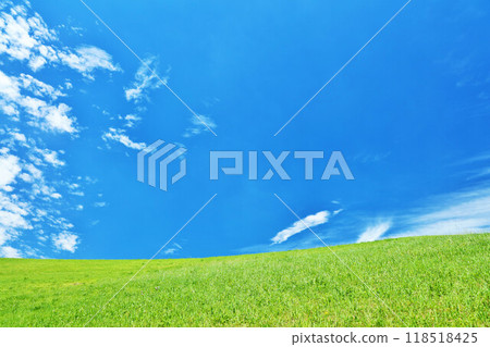 Refreshing summer blue sky and fresh green meadow landscape 118518425