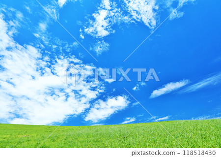 Refreshing summer blue sky and fresh green meadow landscape Refreshing summer blue sky and fresh green meadow landscape 118518430