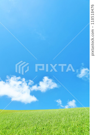 Refreshing summer blue sky and fresh green meadow landscape 118518476