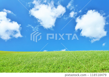 Refreshing summer blue sky and fresh green meadow landscape Refreshing summer blue sky and fresh green meadow landscape 118518479