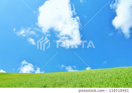 Refreshing summer blue sky and fresh green meadow landscape 118518481