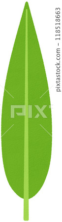 葉_針形 118518663