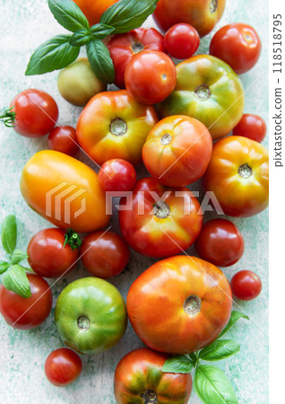 Colorful assortment of ripe tomatoes on a textured surface with fresh basil leaves Colorful assortment of ripe tomatoes on a textured surface with fresh basil leaves 118518795