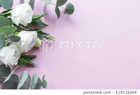 Soft white roses and eucalyptus leaves arranged on a light pink background 118518804