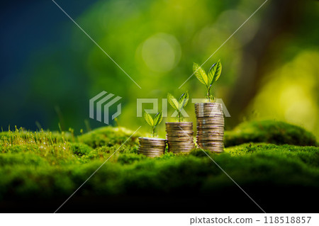 Financial and environmental growth,Silver coins stacked and small tree on the coins on moss in green nature. 118518857