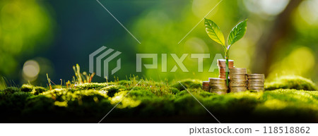 Money and environment concept,A stack of silver coins and a tree grows in the center,Financial growth, savings and the environment 118518862