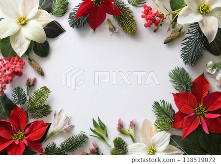 冬花裝飾框架,如白色背景上的照片 冬花裝飾框架,如白色背景上的照片 118519072