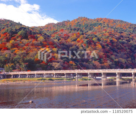 Arashiyama和Togetsu橋的秋葉 118520075