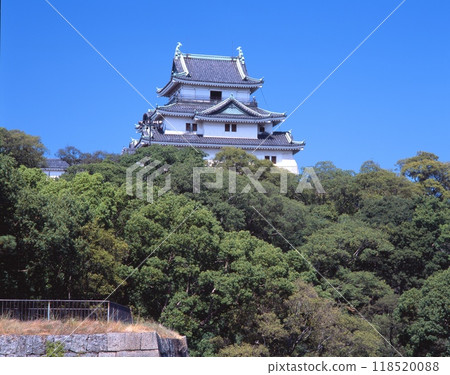 Wakayama Castle: One of Japan's 100 Greatest Castles Wakayama Castle: One of Japan's 100 Greatest Castles 118520088