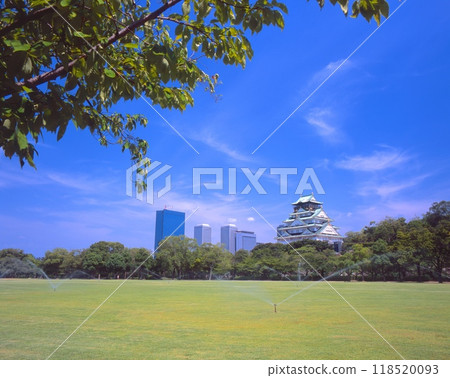 大阪城、西之丸庭園 大阪城、西之丸庭園 118520093