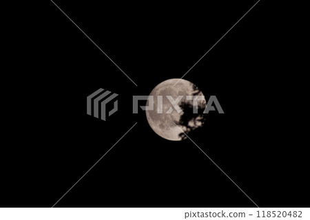 收穫月亮,樹枝掛在月亮的右邊,黑色背景,複製空間 收穫月亮,樹枝掛在月亮的右邊,黑色背景,複製空間 118520482