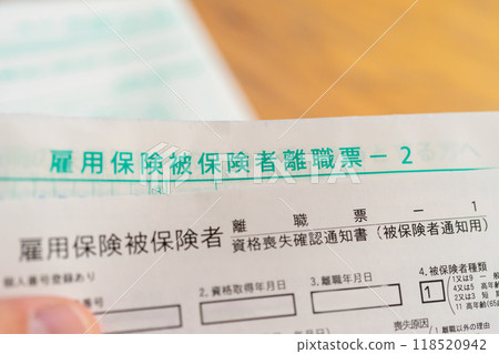 Employment Insurance Insured Person's Termination of Employment Certificate Employment Insurance Insured Person's Termination of Employment Certificate 118520942