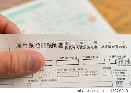 Employment Insurance Insured Person's Termination of Employment Certificate Employment Insurance Insured Person's Termination of Employment Certificate 118520943
