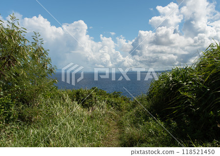 綠色的懸崖，藍色的大海和白色的雲 118521450