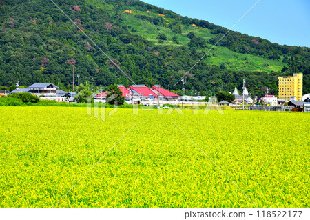 Scenery around Roadside Station Arai (Myoko City, Niigata Prefecture) [September 2024] 118522177