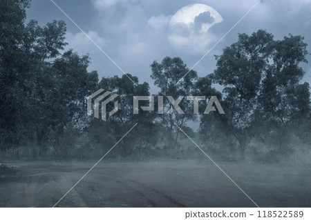 A dark forest with a large moon in the sky. Scene is eerie and mysterious A dark forest with a large moon in the sky. Scene is eerie and mysterious 118522589