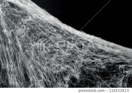 Spooky creepy cobweb spiders web covered a black background 118522613
