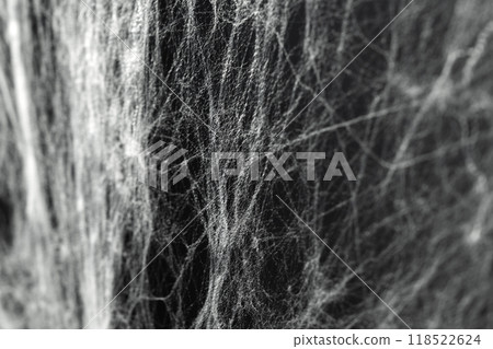 Spooky creepy cobweb spiders web covered a black background 118522624