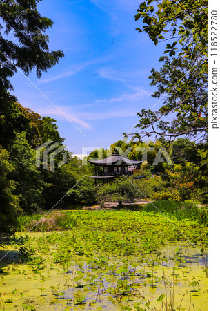 [Kyoto Scenery] Kanshu-ji Temple on a refreshing June day 118522780