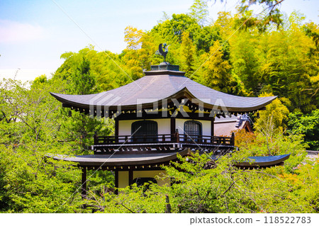 【京都風景】六月清爽的甘修寺 【京都風景】六月清爽的甘修寺 118522783