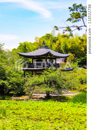[Kyoto Scenery] Kanshu-ji Temple on a refreshing June day 118522786
